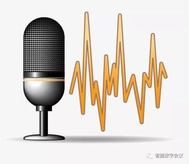 小知识 麦克风不容忽视的使用问题